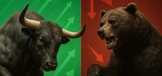 A Jornada do Investidor que Pensava Diferente: Como Construir Liberdade Financeira Quando Todos Estão com Medo